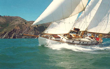 Babara
